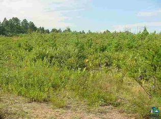 7900 Severson Rd, Pt Wing, WI 54865