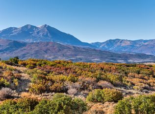 911 Spring Park Rd, El Jebel, CO 81623