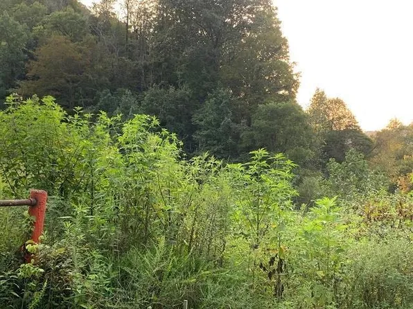 0 Highway 1428, Martin, KY 41649