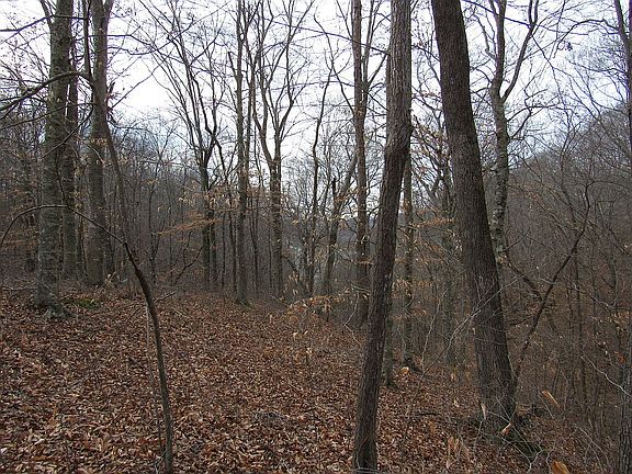 4th image of 0 Woods At Wolf Crk