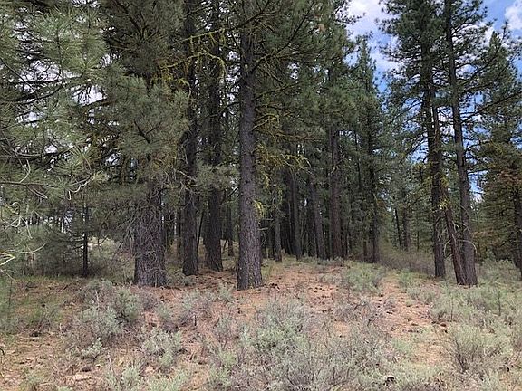 2nd image of 6063 N Iron Horse Dr