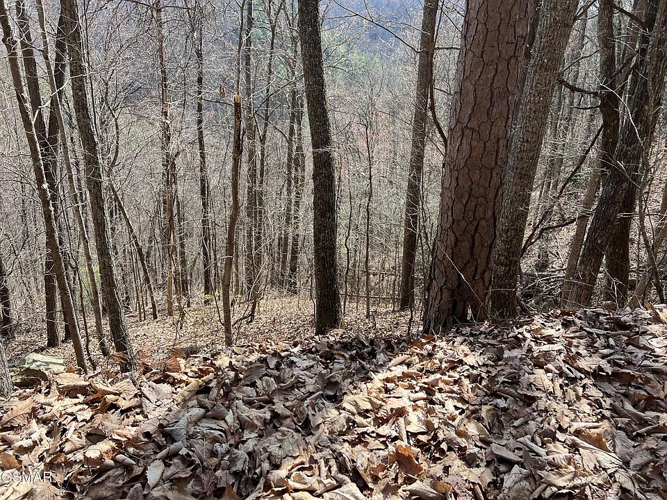 2nd image of 28 Laurel Ln Lot 28