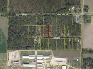 SW Doe Rd LOT 18, Mayo, FL 32066