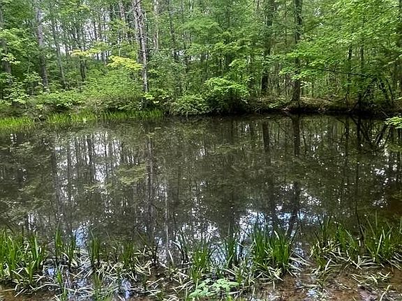 4th image of 449 Doug Thompson Rd