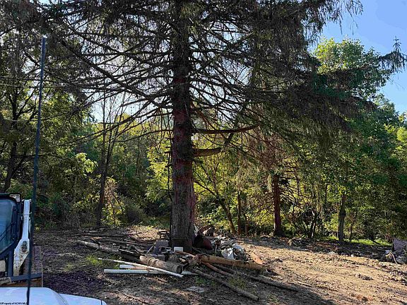 4th image of 88 Ruby Dr