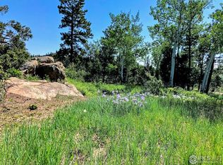 3316 Green Mountain Dr, Livermore, CO 80536