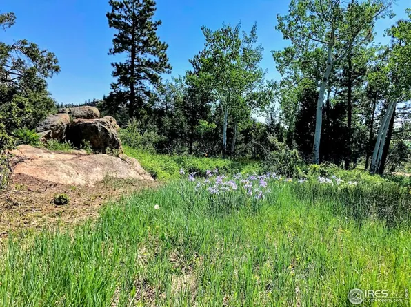 3316 Green Mountain Dr, Livermore, CO 80536