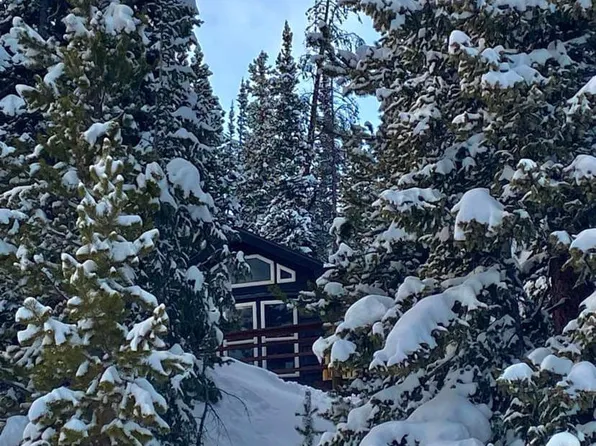 595 Sacramento Dr, Fairplay, CO 80440