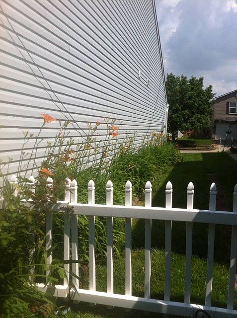Side Yard - Spring