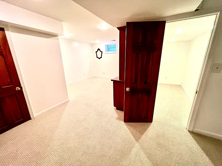 Entrance to den and extra storage closet in basement.