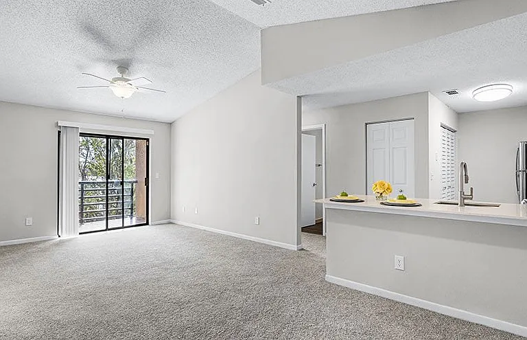 Sabal Palm at Lake Buena Vista Apartment Homes — Photo 10