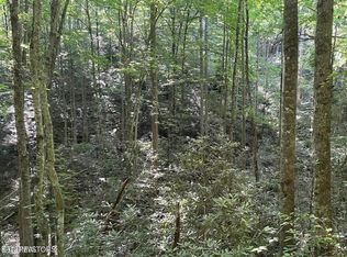70 Hazelnut Ln Lot 70, Sevierville, TN 37876