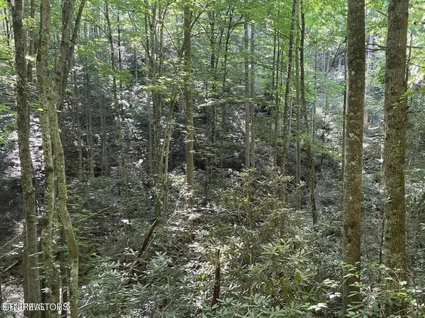 70 Hazelnut Ln Lot 70, Sevierville, TN 37876