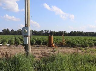 0 County Road 303, Campbell, MO 63933