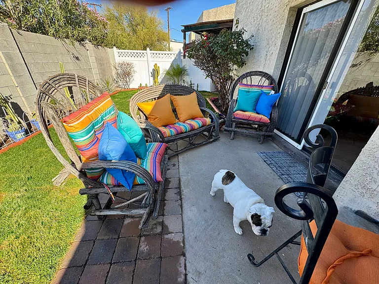Patio area and yard.