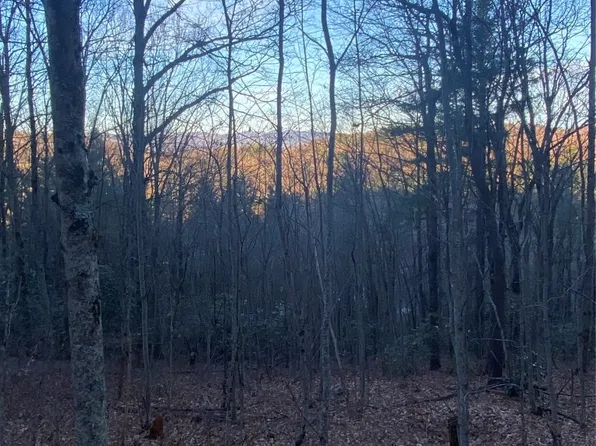 TBD Strawberry Branch, Scaly Mountain, NC 28775