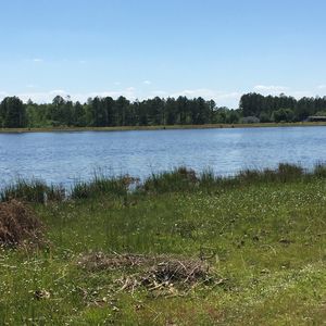 Sunfish Cv, Perkinston, MS, 39573