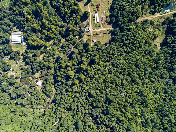 4th image of 290 Moonlight Meadows Rd
