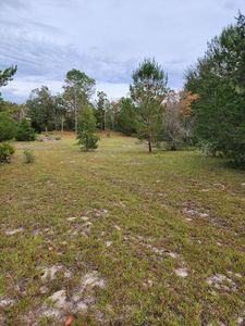 1 NE 1st Ave, High Springs, FL, 32643