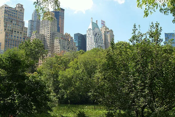 Rented by Sotheby's International Realty | media 10