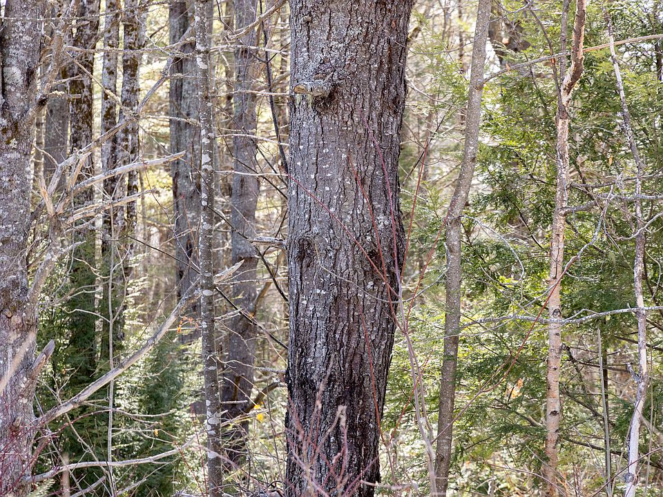 1st image of M4L38&39 West Old Main Road