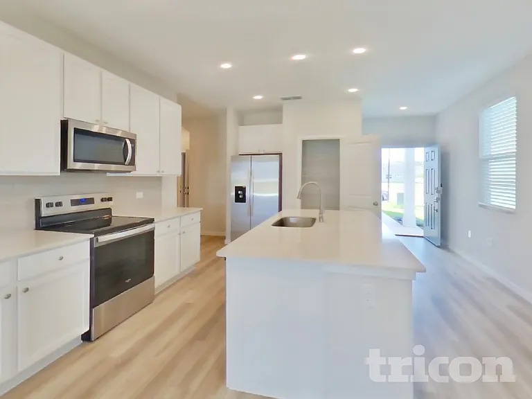 64 Brazil Nut Cir — Photo 7