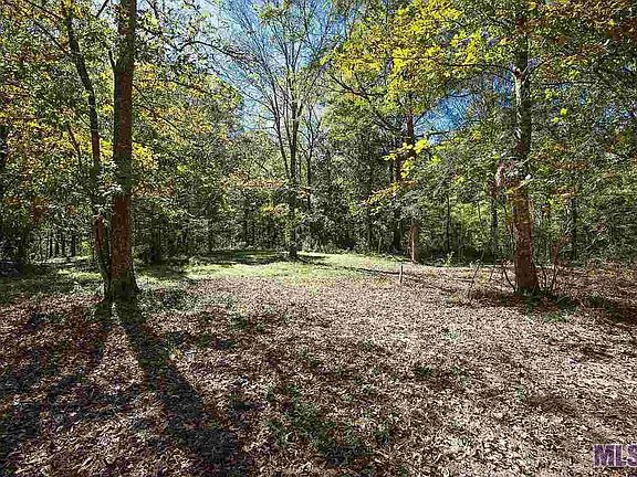 2nd image of TRACT 4 Highland Meadows Dr
