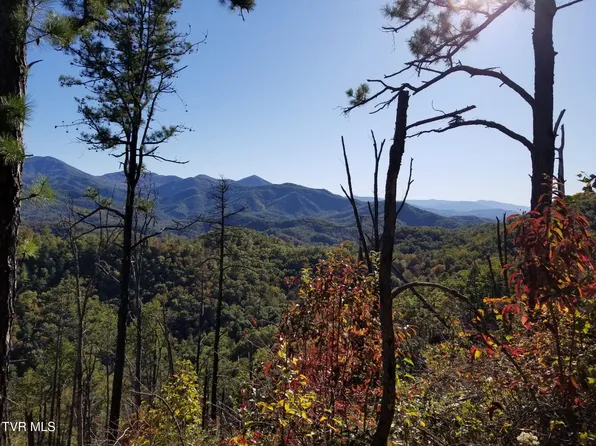 4478 E Highway 25, Del Rio, TN 37727