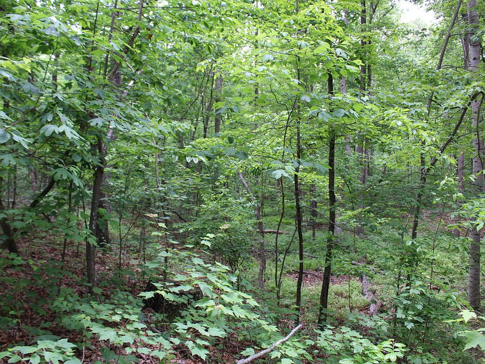 2nd image of 72 Lollar Dr