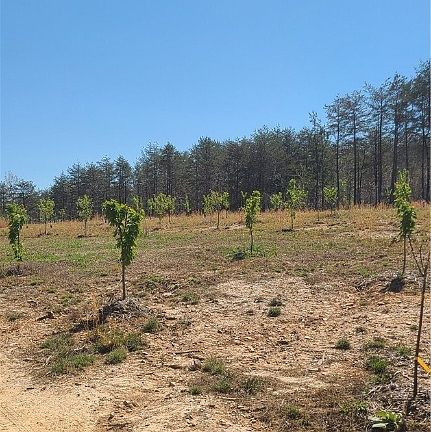 3rd image of 0 Hensley Rd Lot 16