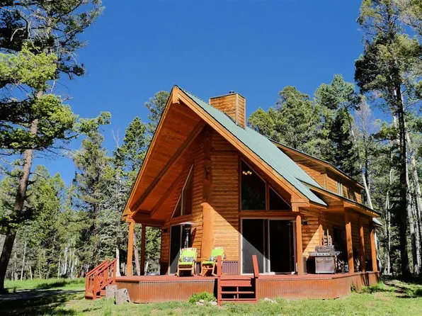 1380 Spruce Road, Cimarron, CO 81220