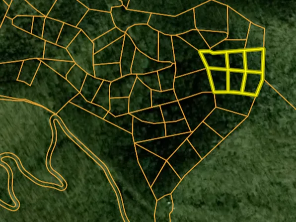 Locust Gap Rd Lot Wp000, Bakersville, NC 28705