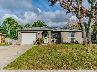 915 Toddsmill Trce, Tarpon Springs, FL 34689