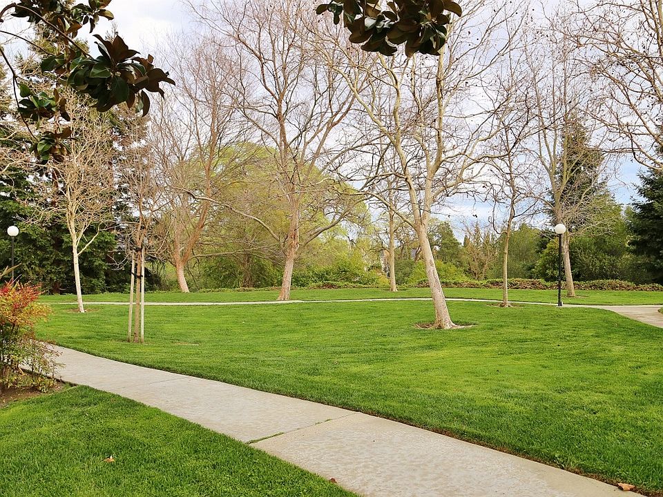 Park Like Setting