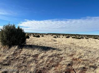 310N E Dusty Rose Rd, Seligman, AZ 86337