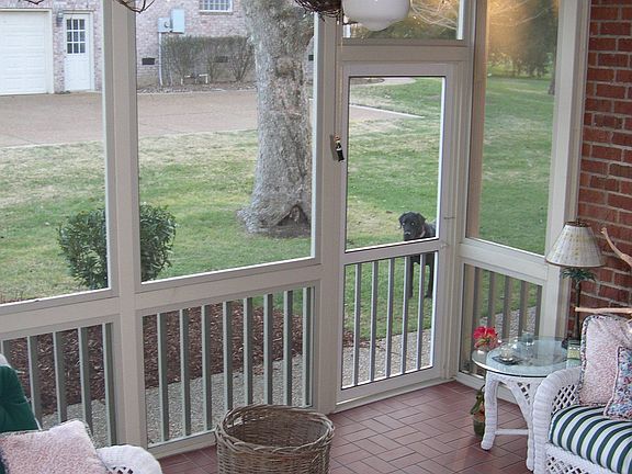 Screen back Porch
