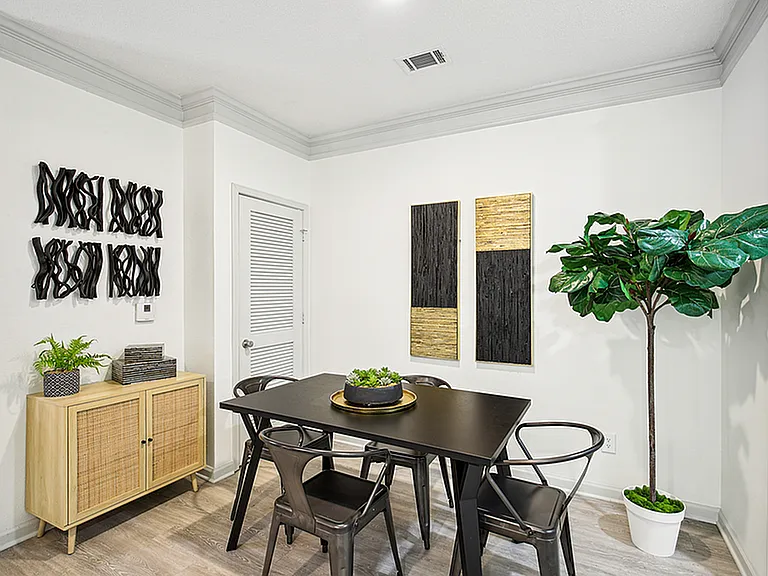 Halston McDonough — Photo 30