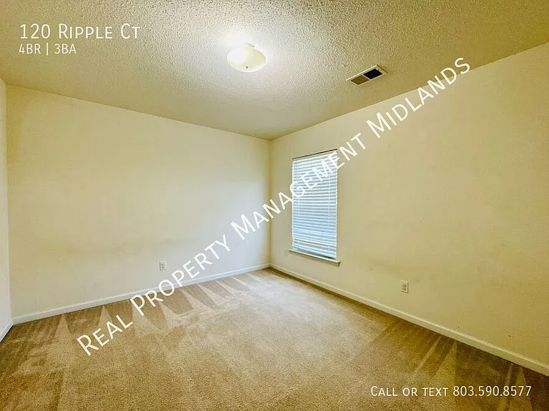 120 Ripple Ct — Photo 5