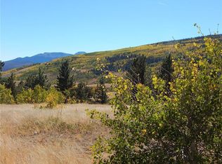 914 Sheep Ridge Rd, Fairplay, CO 80440