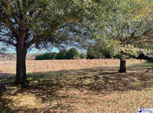 Level Run Ln, Bennettsville, SC 29512