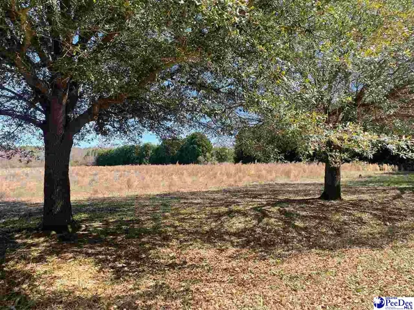 Level Run Ln, Bennettsville, SC 29512