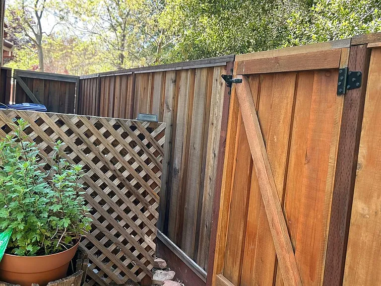 152 Coralflower Ln — Photo 20