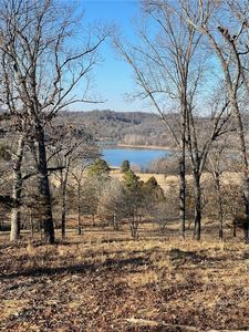 14696 Highway 311 N, Green Forest, AR, 72638