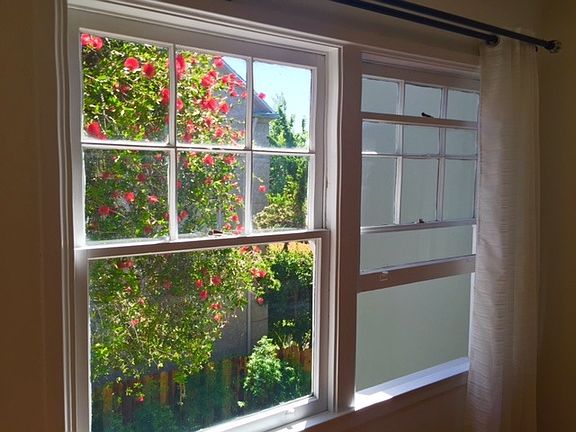 Living Room Window View