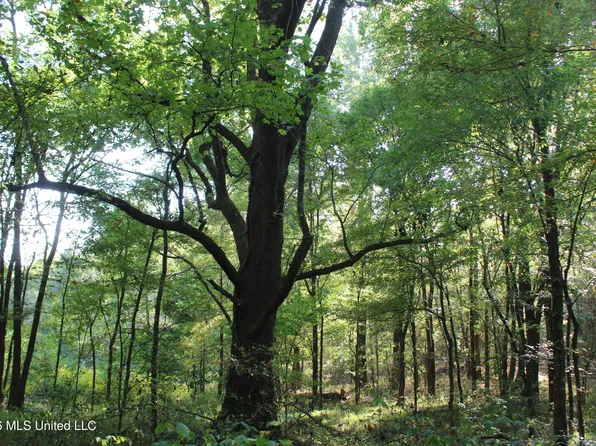11 Star Landing Rd, Nesbit, MS 38651