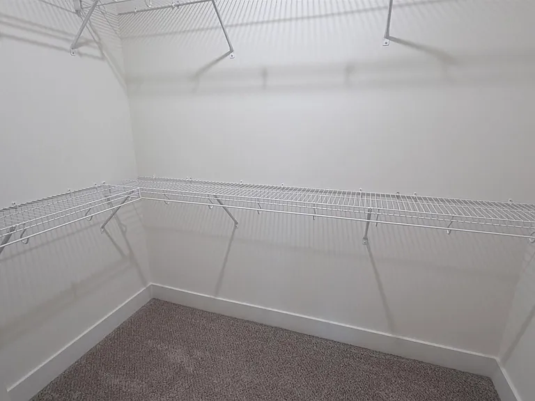 531 Bristleleaf Path — Photo 18
