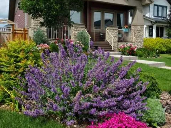 7 E Arnica Vw, Rocky View County, AB T3Z 0E1