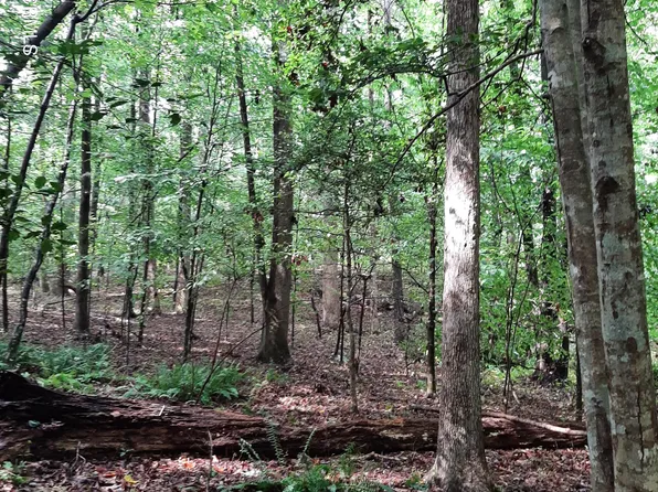 1 Bowden Road, Spring Hope, NC 27882