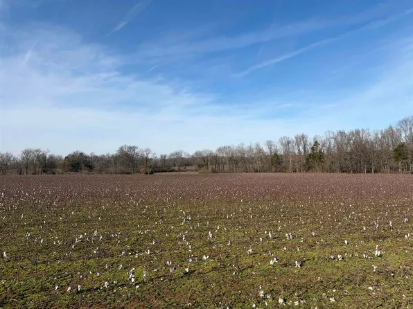 353 Cotton Grove Rd, Jackson, TN 38305