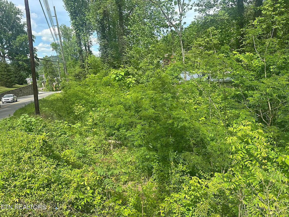 1st image of 519 Cherokee Orchard Rd